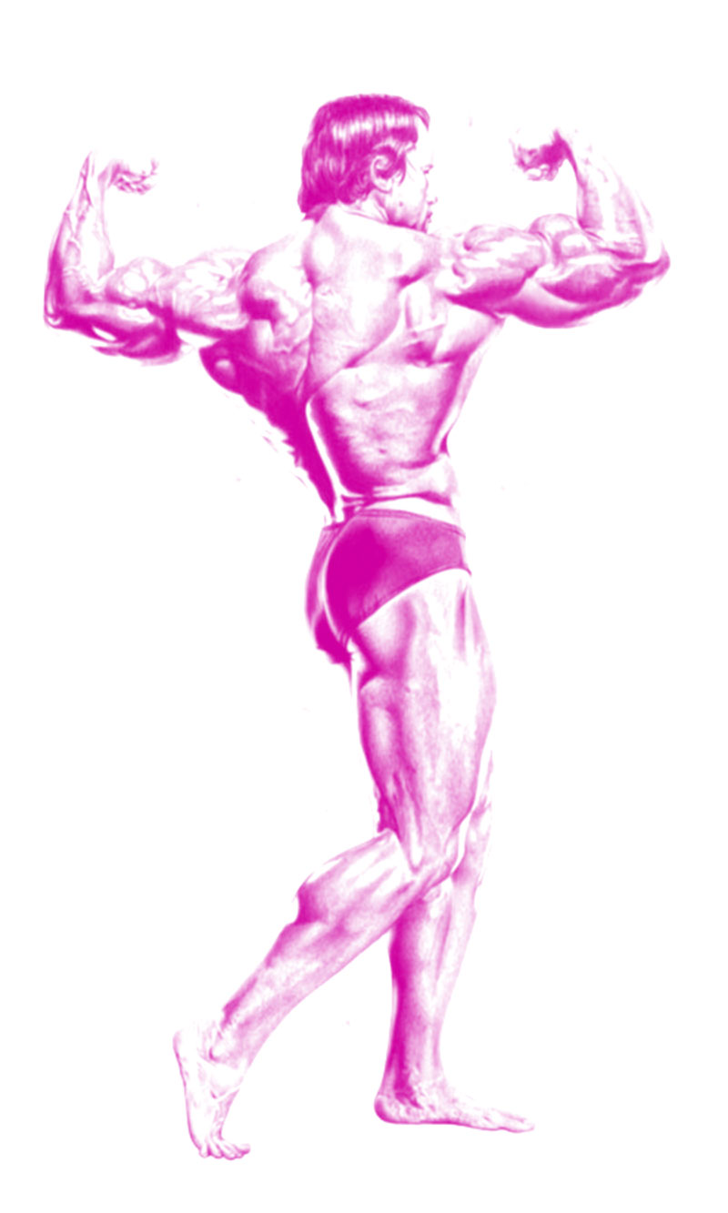 L’AMÉRIQUE INTERDITE • Romano Vanderbes